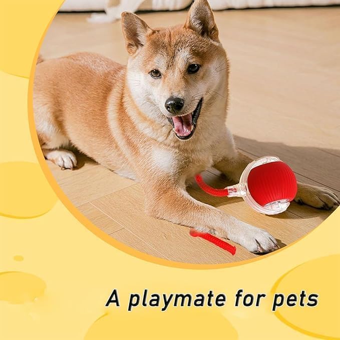 360° Electric Smart Rolling Ball