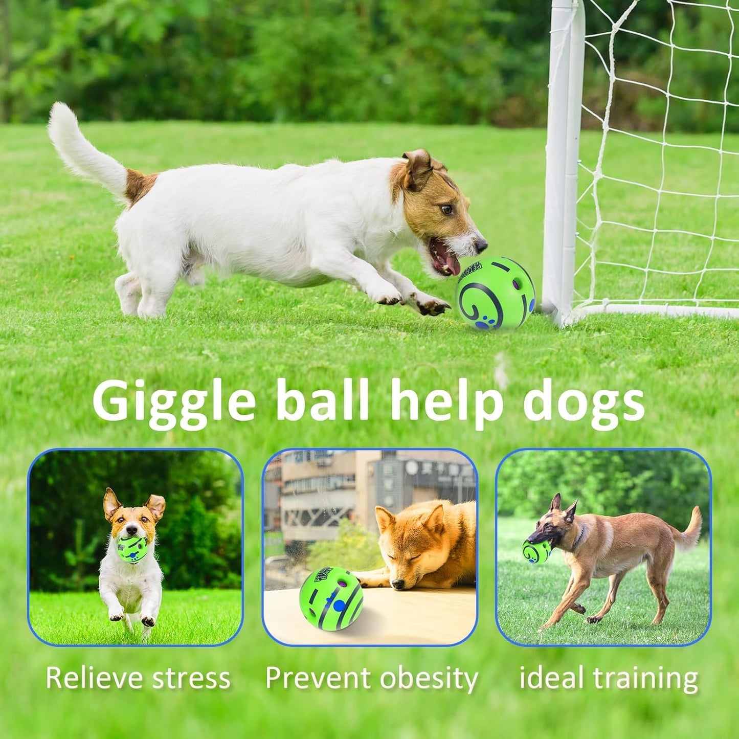 Sound Ball for Dogs and Puppies